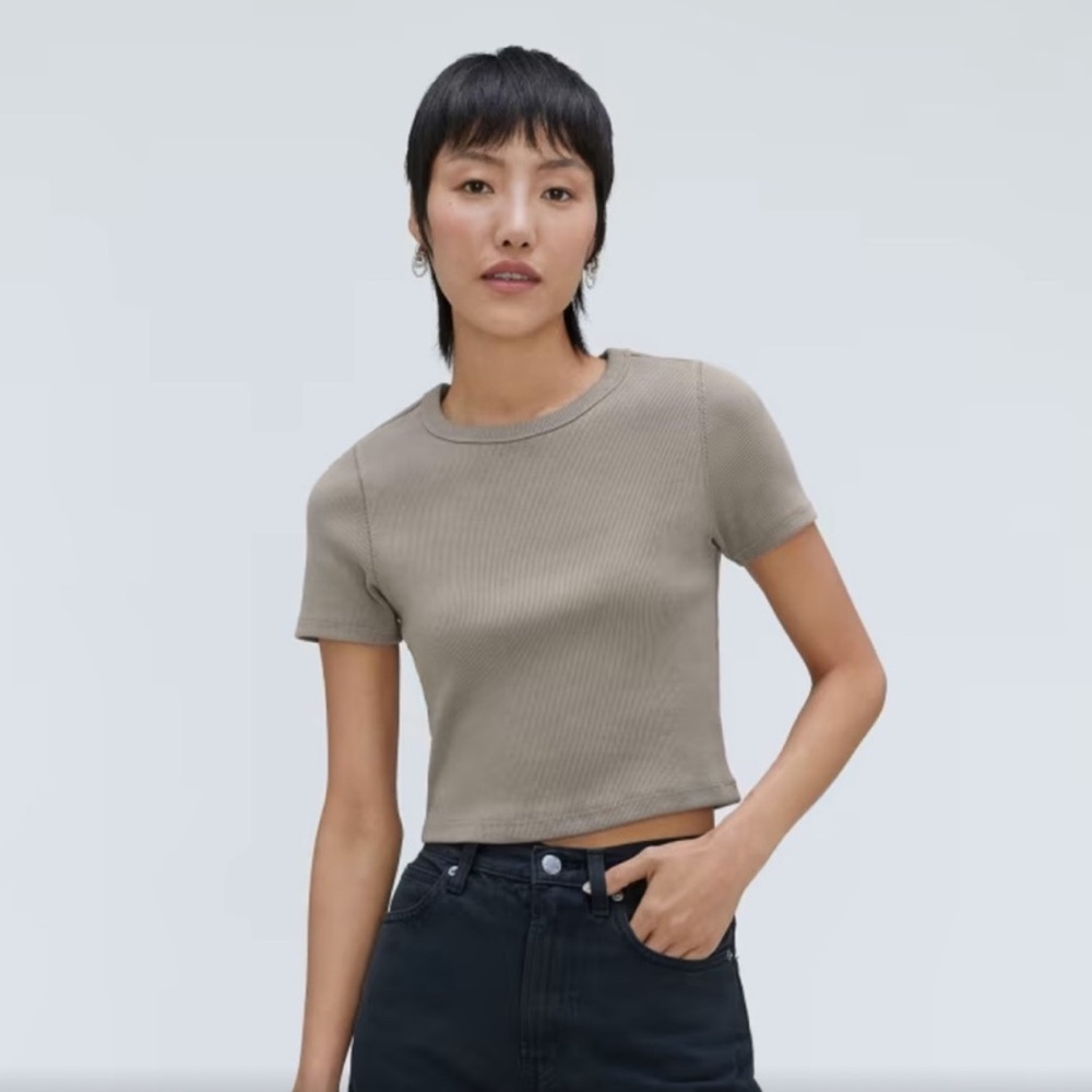 Everlane Taupe Short Sleeve Tee